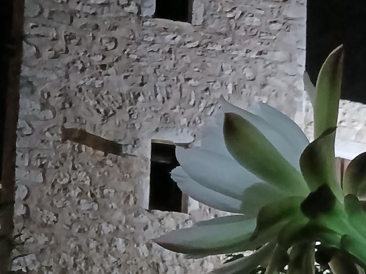 Apartamento Pandera Areopoli Exterior foto