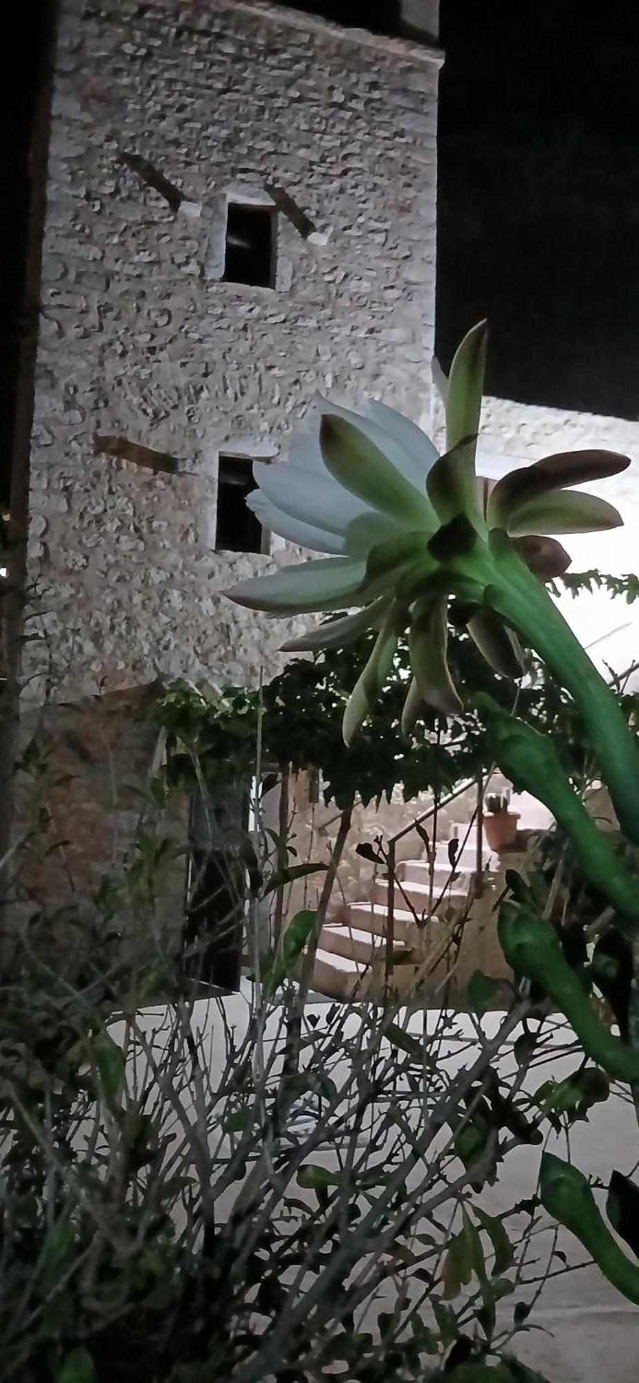Apartamento Pandera Areopoli Exterior foto